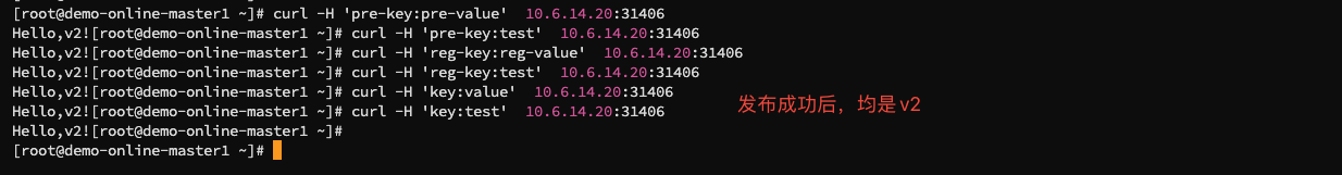 发布成功后